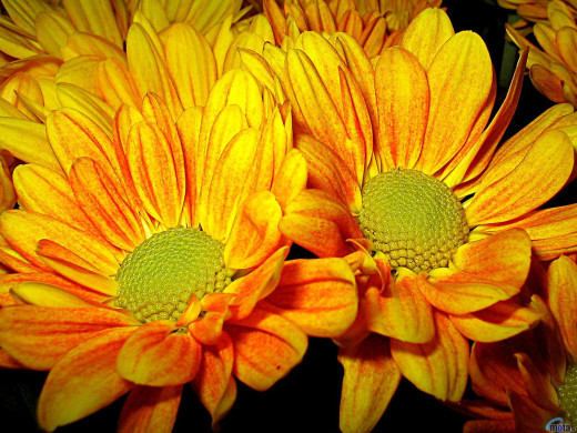 422381 (a): :1600x1200